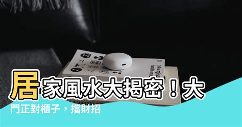 大門對櫃子|【大門對櫃子】居家風水大揭密！大門正對櫃子，擋財招煞？